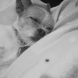 Meet your Posher, Rylee